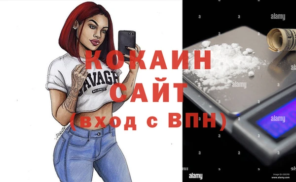 прущие грибы Богданович