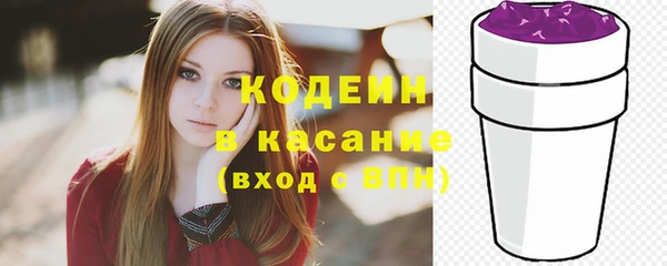 прущие грибы Богданович