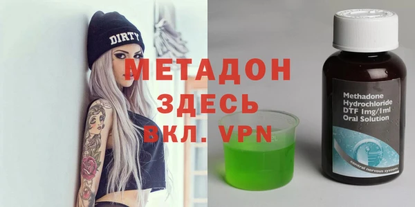 прущие грибы Богданович