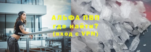 прущие грибы Богданович