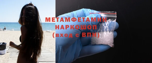 прущие грибы Богданович