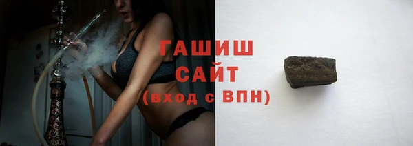 прущие грибы Богданович