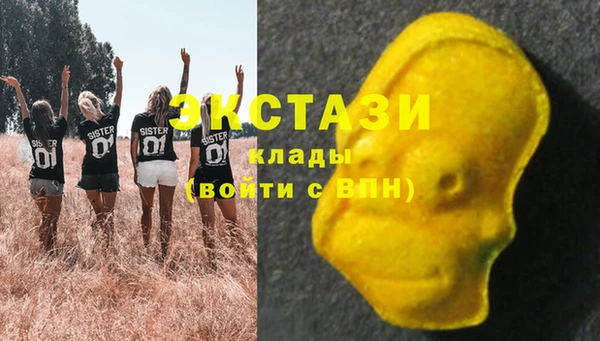 прущие грибы Богданович