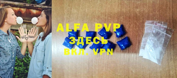 прущие грибы Богданович