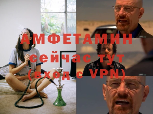 прущие грибы Богданович