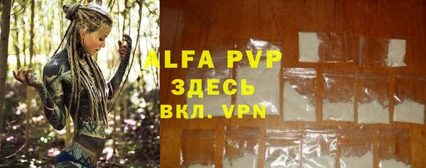 прущие грибы Богданович
