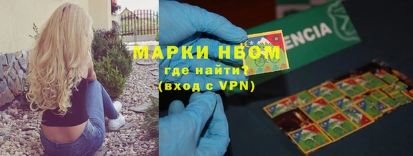 прущие грибы Богданович