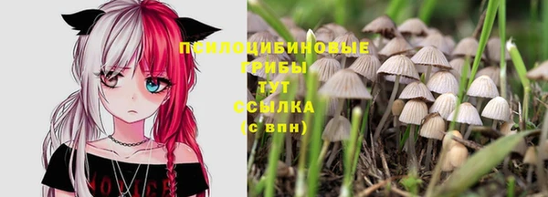 не бодяженный Богородск