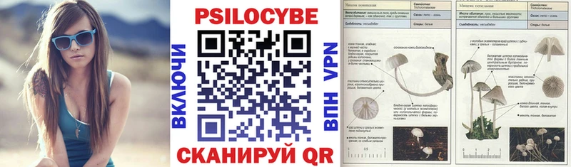 Купить  Еманжелинск  Псилоцибиновые грибы Cubensis 