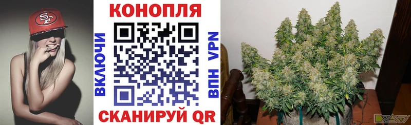 Купить закладки  Еманжелинск  МАРИХУАНА индика 